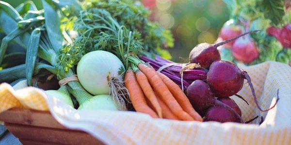 In ac fermentum massa amet